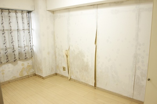 外壁塗装+リフォーム