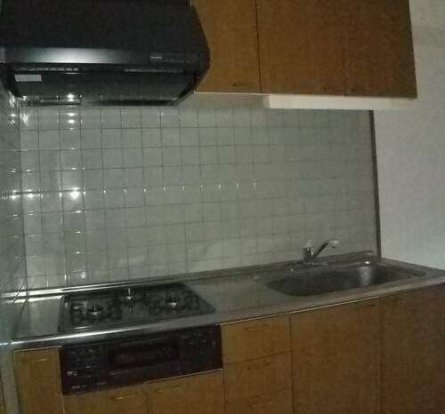 ナチュラルな北欧風の1LDKへ